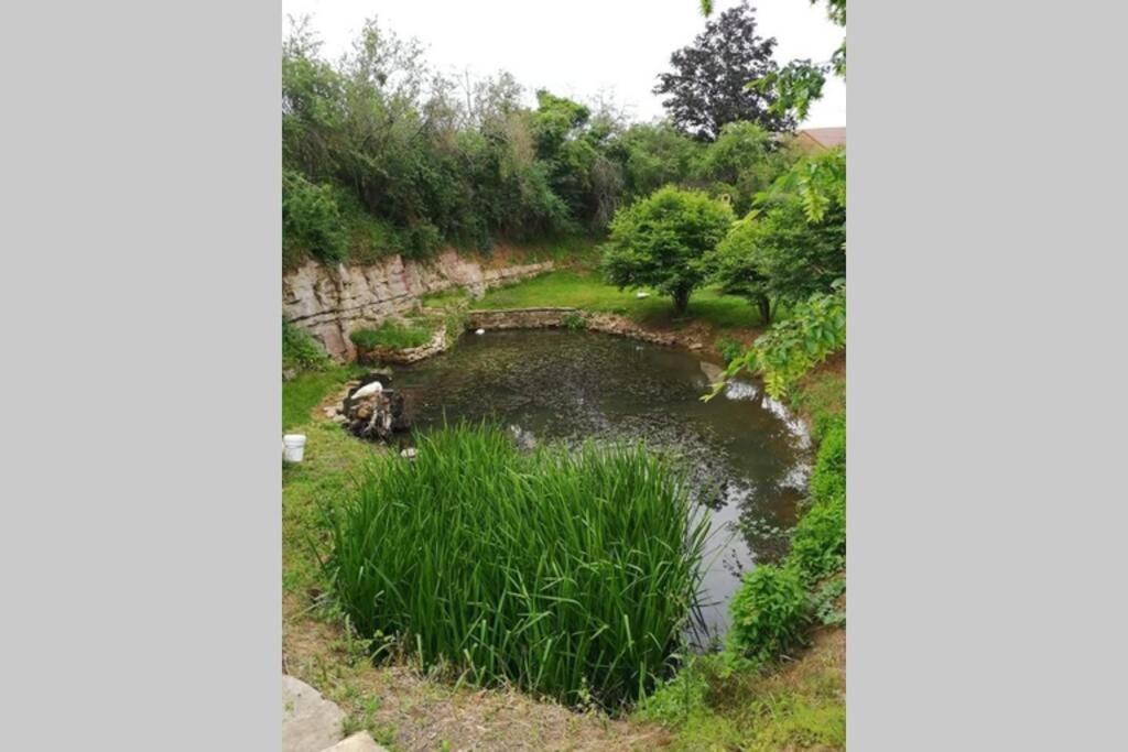 Studio Au Bord De L'Etang Laives Dış mekan fotoğraf