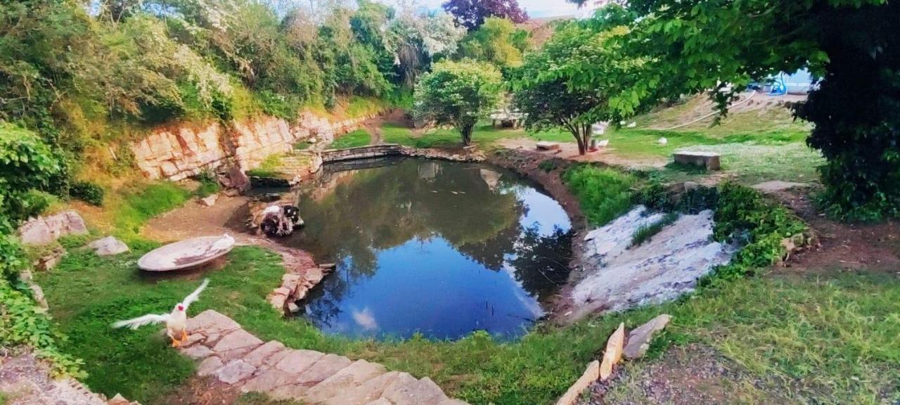 Studio Au Bord De L'Etang Laives Dış mekan fotoğraf